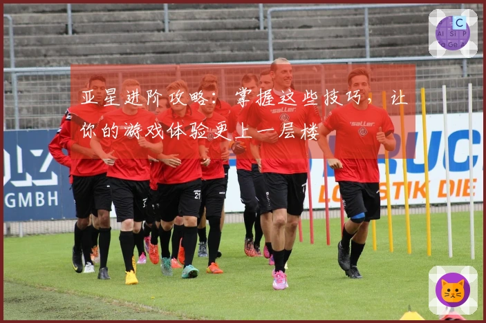 亚星进阶攻略：掌握这些技巧，让你的游戏体验更上一层楼